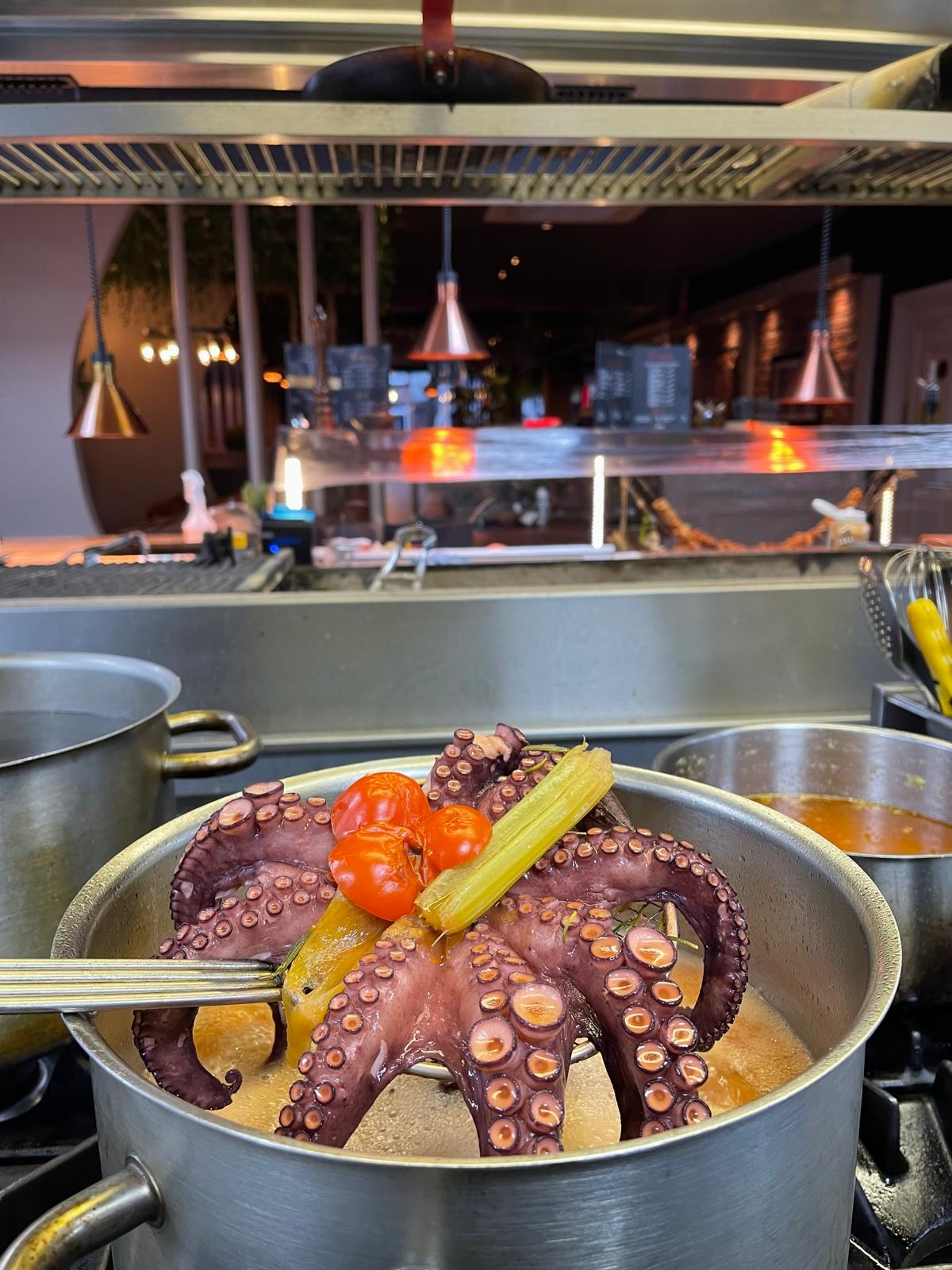 Whole octopus lifted from a pot of broth with tomatoes and celery
